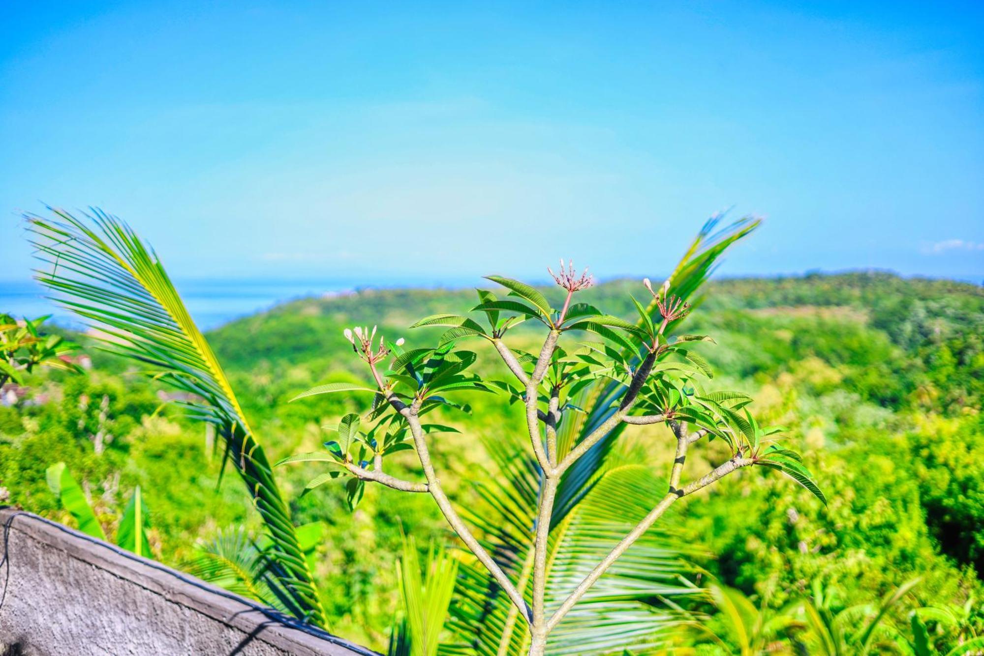 D Sebuluh Bungalow Batumadeg エクステリア 写真